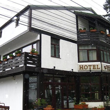 Hotel Regina Sinaia Dış mekan fotoğraf